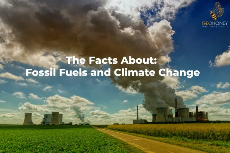 The Connection between Fossil Fuels and Climate Change.